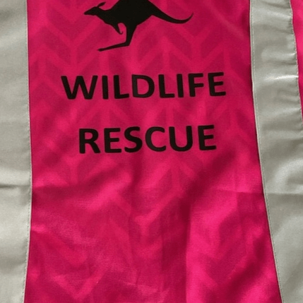 Iron-On Text Transfers